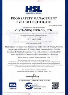Certificate 03